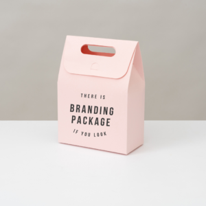 Professional Branding Package